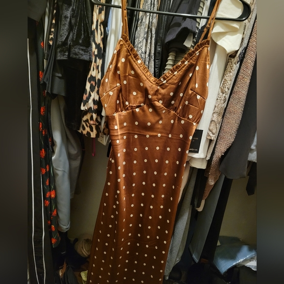 Brown Silky Dress - Picture 5 of 5